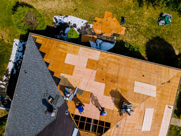 Best Roof Maintenance Services  in Carrabelle, FL
